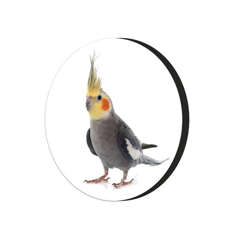 null