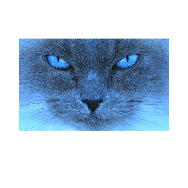 null